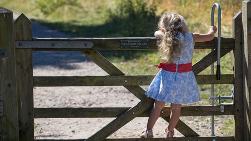 Little girl in a blue dress with a red belt climbing on a gate at Lytes Cary Manor, Somerset